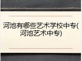 河池有哪些艺术学校中专(河池艺术中专)