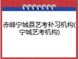 赤峰宁城县艺考补习机构(宁城艺考机构)