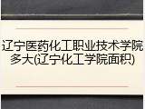 辽宁医药化工职业技术学院多大(辽宁化工学院面积)
