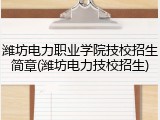 潍坊电力职业学院技校招生简章(潍坊电力技校招生)