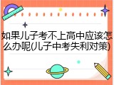 如果儿子考不上高中应该怎么办呢(儿子中考失利对策)