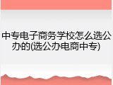 中专电子商务学校怎么选公办的(选公办电商中专)