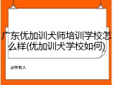广东优加训犬师培训学校怎么样(优加训犬学校如何)