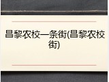 昌黎农校一条街(昌黎农校街)
