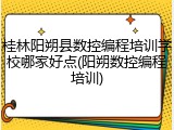桂林阳朔县数控编程培训学校哪家好点(阳朔数控编程培训)