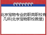 北京宠物专业的职高职校有几所(北京宠物职校数量)