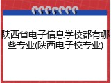 陕西省电子信息学校都有哪些专业(陕西电子校专业)