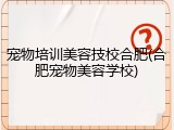宠物培训美容技校合肥(合肥宠物美容学校)