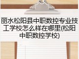 丽水松阳县中职数控专业技工学校怎么样在哪里(松阳中职数控学校)