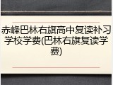 赤峰巴林右旗高中复读补习学校学费(巴林右旗复读学费)