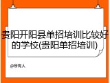 贵阳开阳县单招培训比较好的学校(贵阳单招培训)