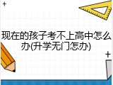 现在的孩子考不上高中怎么办(升学无门怎办)