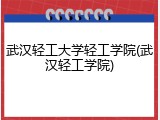 武汉轻工大学轻工学院(武汉轻工学院)