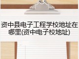 资中县电子工程学校地址在哪里(资中电子校地址)