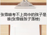 张雪峰考不上高中的孩子是谁(张雪峰孩子落榜)
