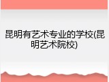 昆明有艺术专业的学校(昆明艺术院校)