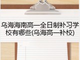 乌海海南高一全日制补习学校有哪些(乌海高一补校)