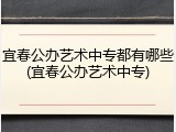 宜春公办艺术中专都有哪些(宜春公办艺术中专)