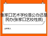 张家口艺术学校是公办还是民办(张家口艺校性质)