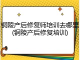铜陵产后修复师培训去哪里(铜陵产后修复培训)