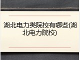湖北电力类院校有哪些(湖北电力院校)
