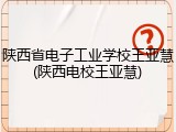 陕西省电子工业学校王亚慧(陕西电校王亚慧)