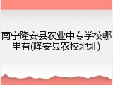 南宁隆安县农业中专学校哪里有(隆安县农校地址)