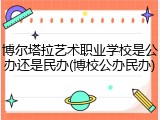 博尔塔拉艺术职业学校是公办还是民办(博校公办民办)