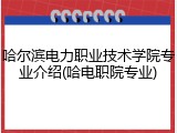 哈尔滨电力职业技术学院专业介绍(哈电职院专业)
