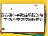 西安碑林学数控编程的培训学校(西安数控编程培训)