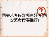 西安艺考传媒哪家好考(西安艺考传媒推荐)