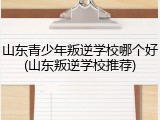 山东青少年叛逆学校哪个好(山东叛逆学校推荐)