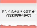 河东挖机培训学校哪家好(河东挖机培训推荐)