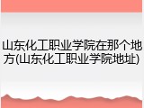 山东化工职业学院在那个地方(山东化工职业学院地址)