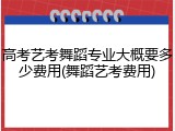 高考艺考舞蹈专业大概要多少费用(舞蹈艺考费用)