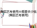 舞蹈艺考费用大概要多少钱(舞蹈艺考费用)
