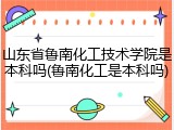 山东省鲁南化工技术学院是本科吗(鲁南化工是本科吗)