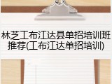 林芝工布江达县单招培训班推荐(工布江达单招培训)