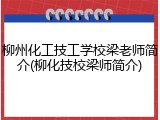 柳州化工技工学校梁老师简介(柳化技校梁师简介)