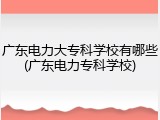 广东电力大专科学校有哪些(广东电力专科学校)