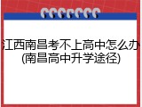江西南昌考不上高中怎么办(南昌高中升学途径)