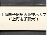 上海电子信息职业技术大学("上海电子职大")