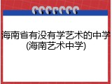 海南省有没有学艺术的中学(海南艺术中学)