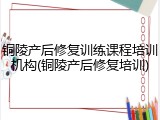 铜陵产后修复训练课程培训机构(铜陵产后修复培训)