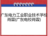 广东电力工业职业技术学校肖霖(广东电校肖霖)