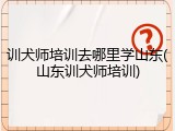 训犬师培训去哪里学山东(山东训犬师培训)