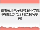 湖南长沙电子科技职业学院学费(长沙电子科技职院学费)