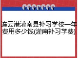 连云港灌南县补习学校一年费用多少钱(灌南补习学费)