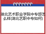 湖北艺术职业学院中专部怎么样(湖北艺职中专如何)