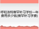 呼和浩特赛罕补习学校一年费用多少钱(赛罕补习学费)